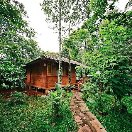 Bamboo Creek Resort Vaduvanchal Екстер'єр фото