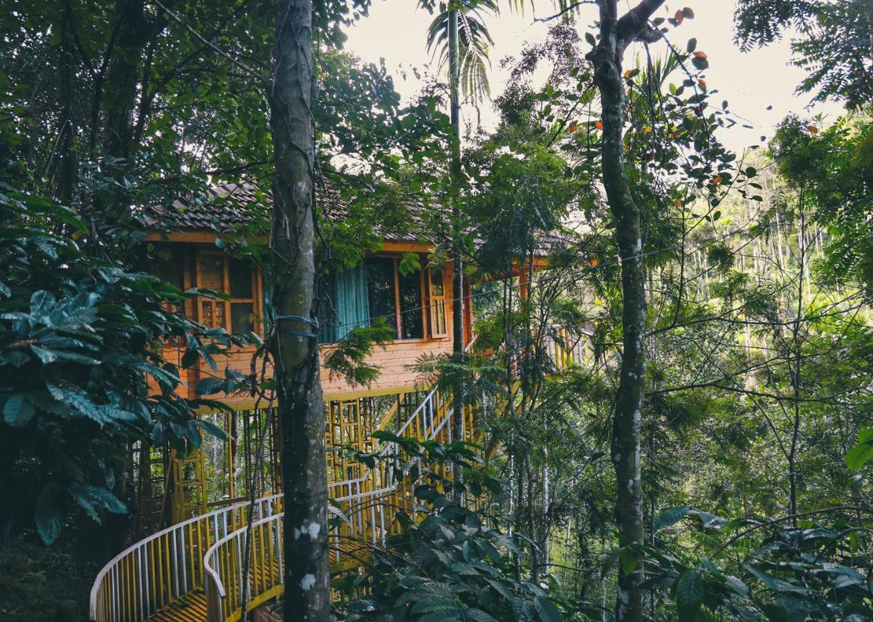 Bamboo Creek Resort Vaduvanchal Екстер'єр фото