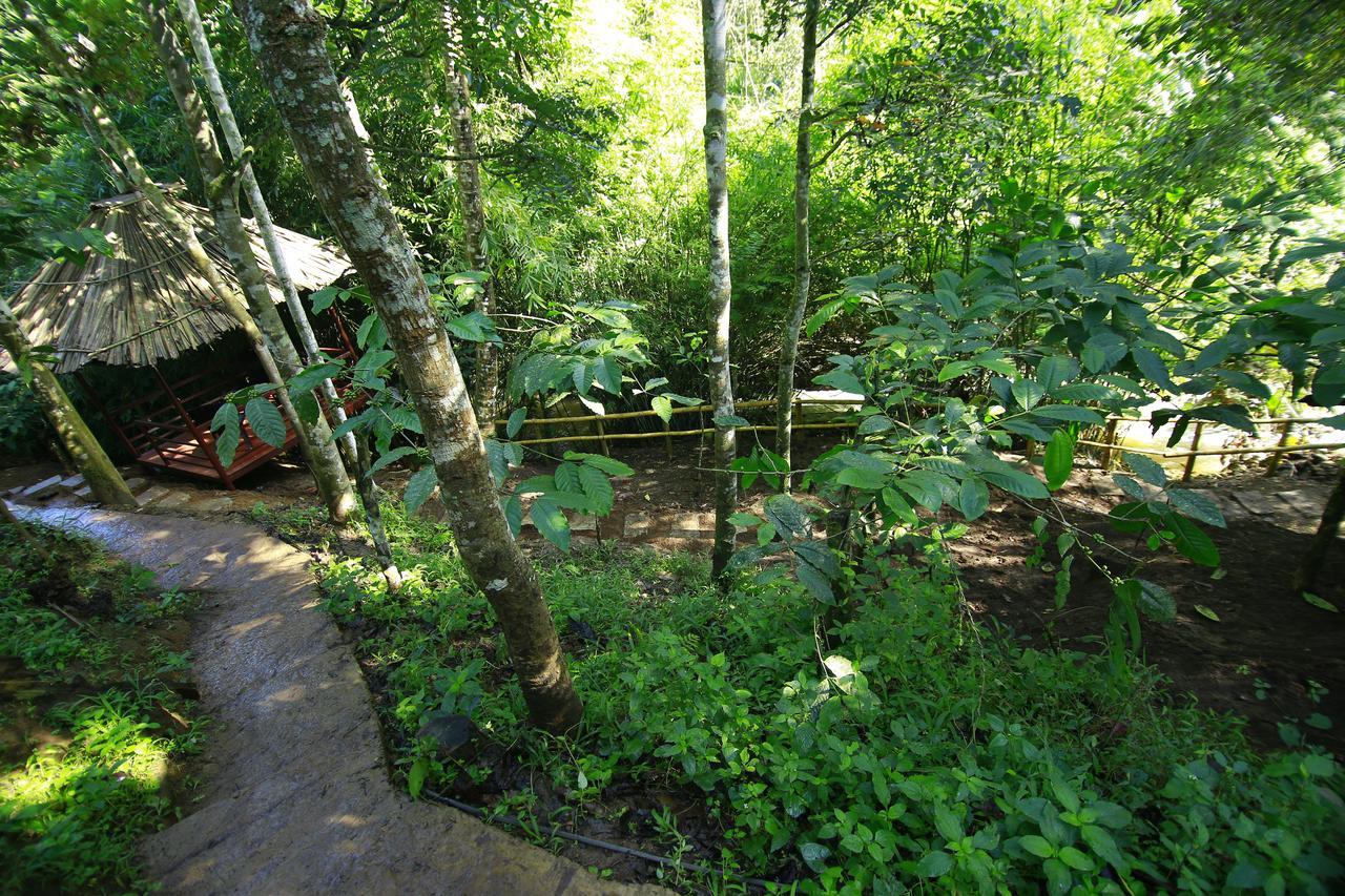 Bamboo Creek Resort Vaduvanchal Екстер'єр фото