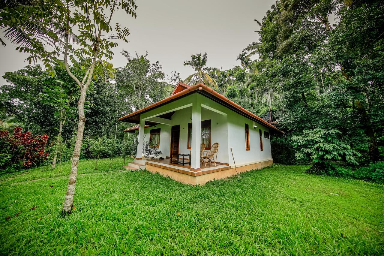 Bamboo Creek Resort Vaduvanchal Екстер'єр фото