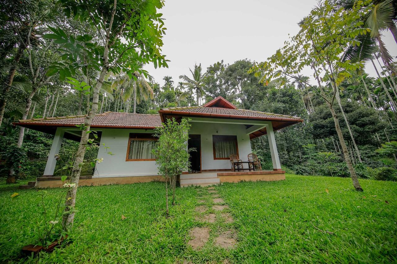 Bamboo Creek Resort Vaduvanchal Екстер'єр фото
