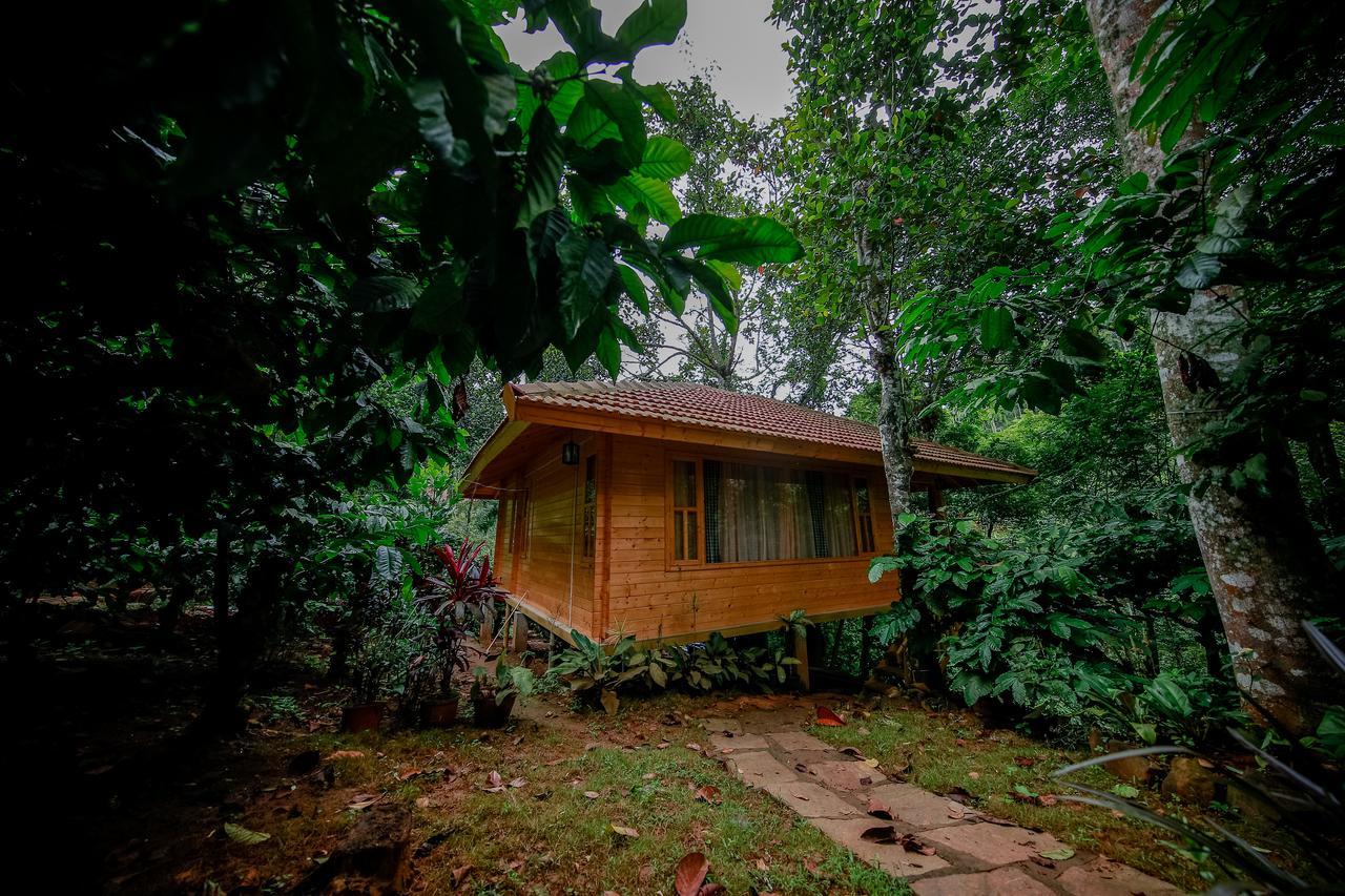 Bamboo Creek Resort Vaduvanchal Екстер'єр фото