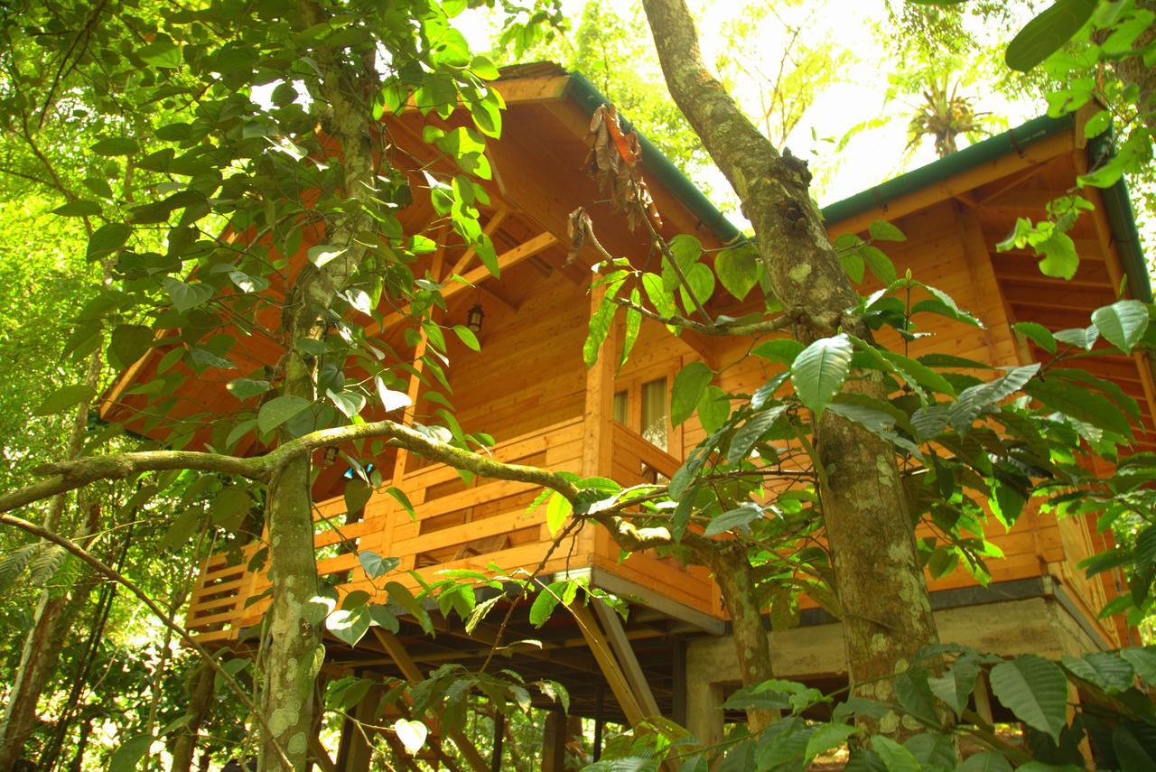 Bamboo Creek Resort Vaduvanchal Екстер'єр фото