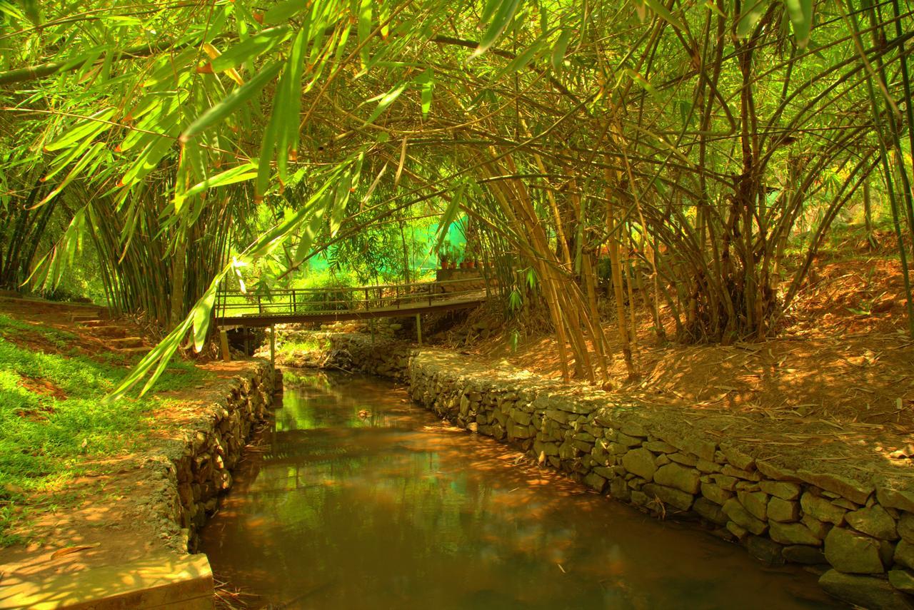 Bamboo Creek Resort Vaduvanchal Екстер'єр фото