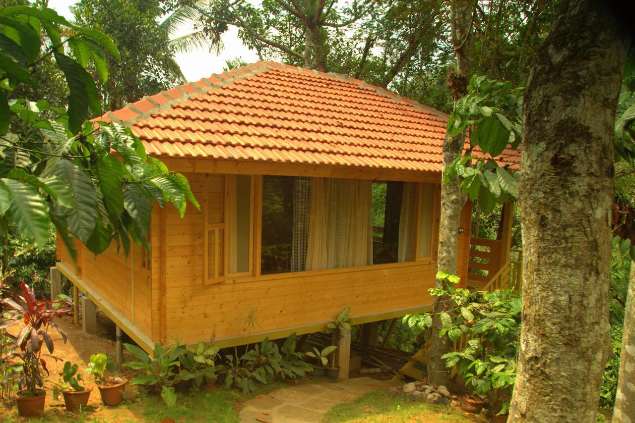 Bamboo Creek Resort Vaduvanchal Екстер'єр фото