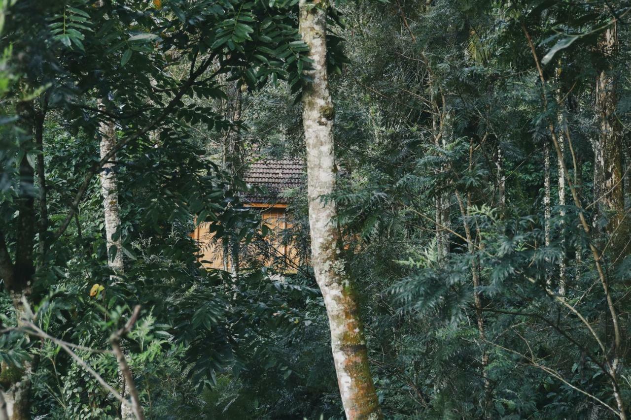 Bamboo Creek Resort Vaduvanchal Екстер'єр фото