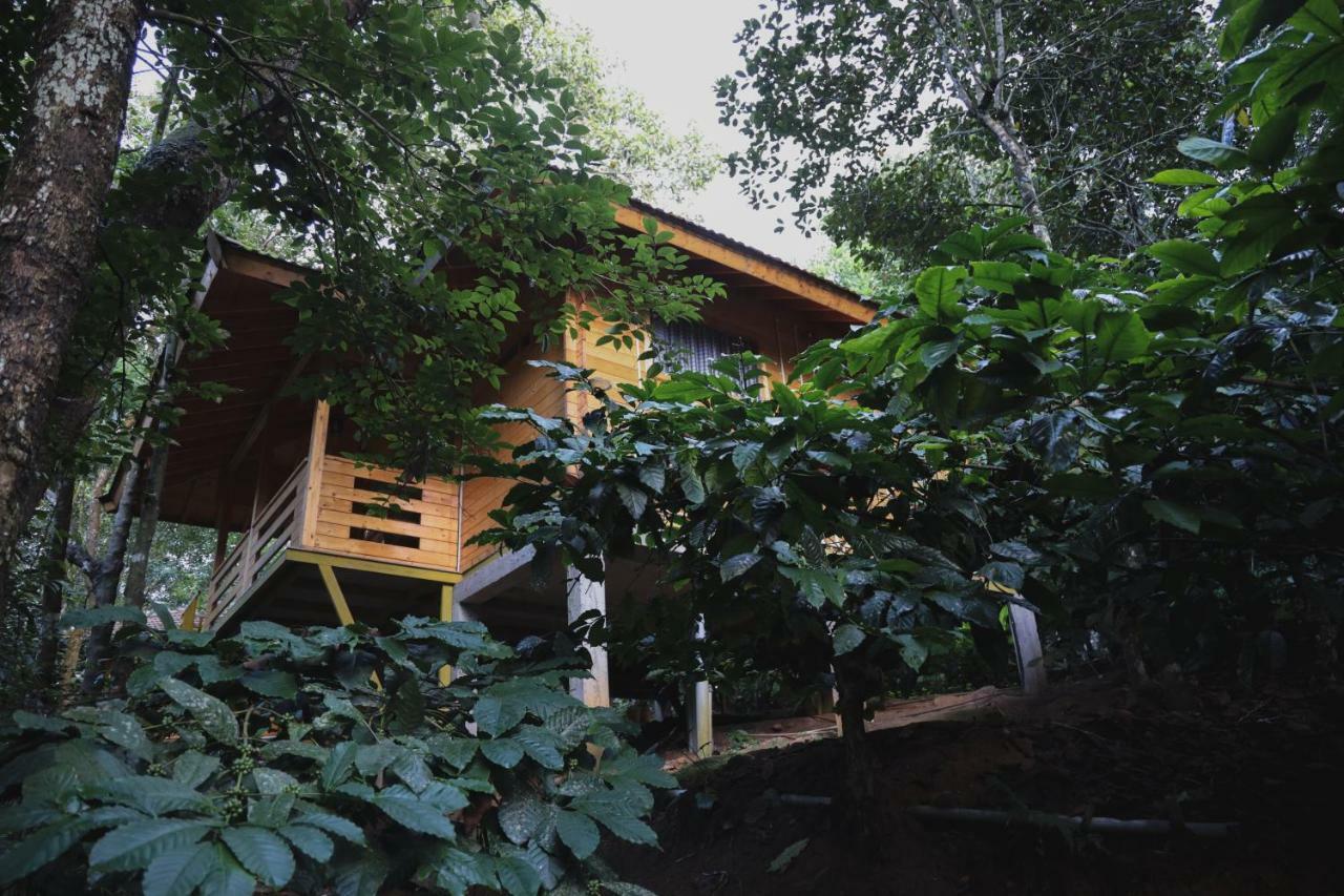Bamboo Creek Resort Vaduvanchal Екстер'єр фото